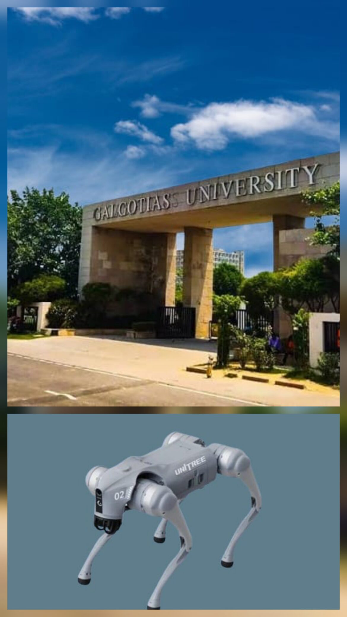 Who is Neha Singh,Galgotias university professor.in Hindi