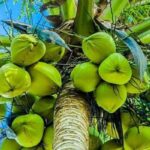 CustomImage 1772539993929